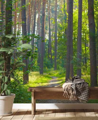 green custom forest wallpaper mural called Forest Sunrise for living rooms or bedrooms