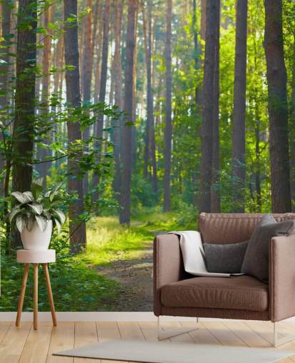 mural de papel de parede florestal personalizado verde chamado Forest Sunrise para salas de estar ou quartos