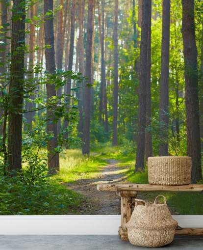 green custom forest wallpaper mural called Forest Sunrise for living rooms or bedrooms