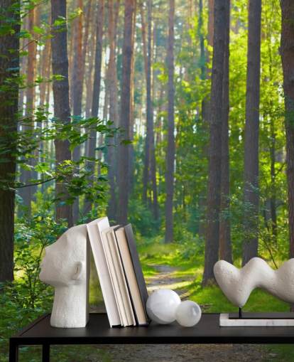 green custom forest wallpaper mural called Forest Sunrise for living rooms or bedrooms