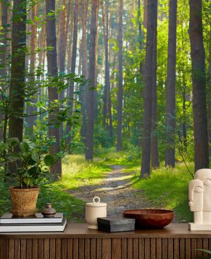 mural verde personalizado de papel pintado de bosque llamado Forest Sunrise para salas de estar o dormitorios