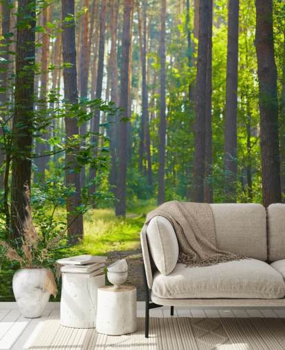 green custom forest wallpaper mural called Forest Sunrise for living rooms or bedrooms