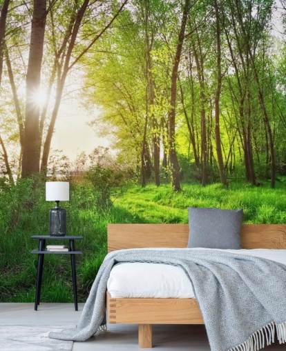 Green Sunny Forest Wallpaper