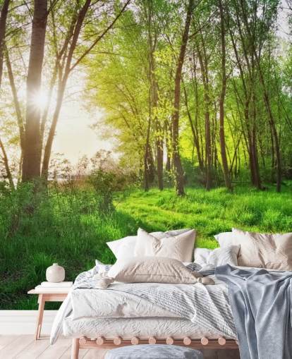 Green Sunny Forest Wallpaper