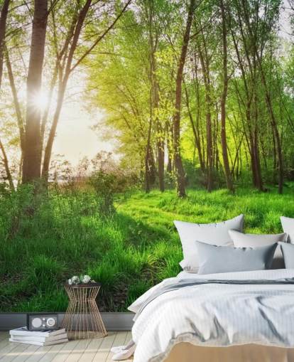 Green Sunny Forest Wallpaper