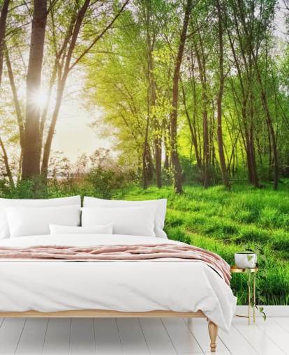 Papel de Parede Green Sunny Forest