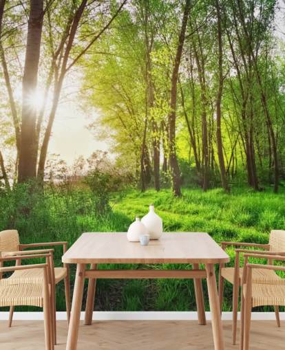 Green Sunny Forest behang