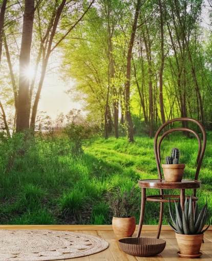 Green Sunny Forest behang