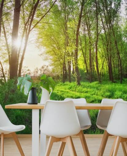 Papel Pintado Bosque Verde Soleado