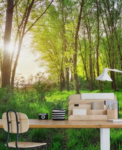 Green Sunny Forest Wallpaper