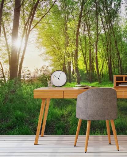 Green Sunny Forest Wallpaper