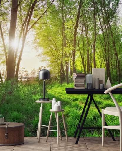 Papel de Parede Green Sunny Forest