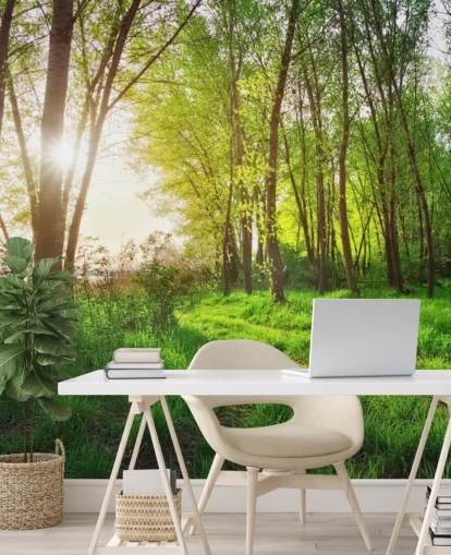 Green Sunny Forest Wallpaper