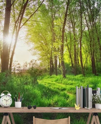 Papel de Parede Green Sunny Forest Papel de Parede Green Sunny Forest
