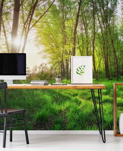 Carta da parati Green Sunny Forest