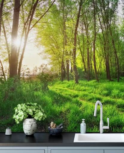 Green Sunny Forest behang Green Sunny Forest behang