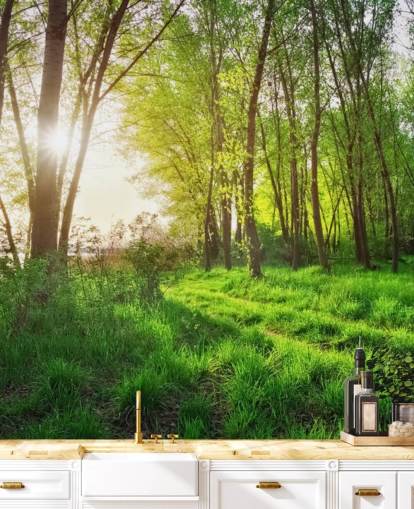 Green Sunny Forest Wallpaper