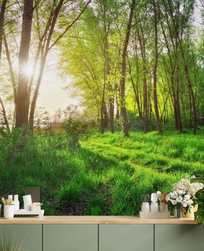 Green Sunny Forest Wallpaper
