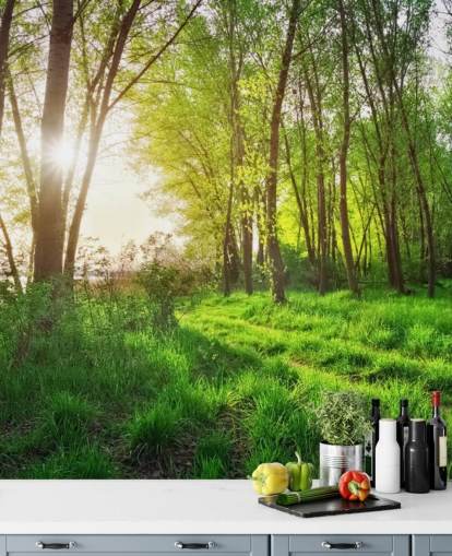 Grüner sonniger Wald Tapete
