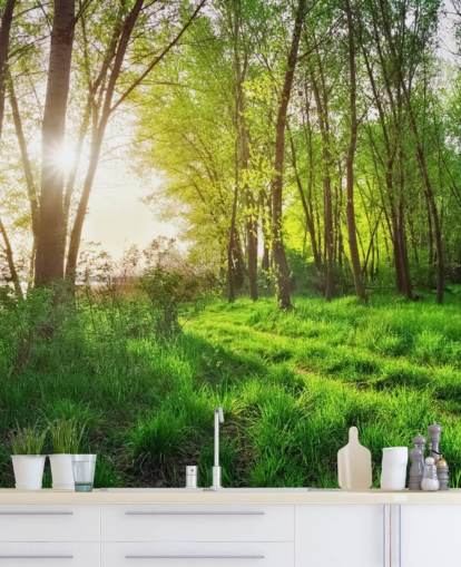 Green Sunny Forest Wallpaper Green Sunny Forest Wallpaper