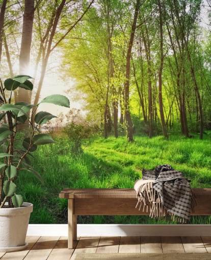 Green Sunny Forest Wallpaper