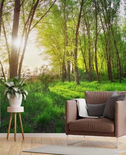 Papier Peint Vert Sunny Forest Papier Peint Vert Sunny Forest