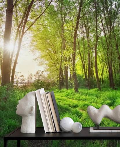 Green Sunny Forest Wallpaper