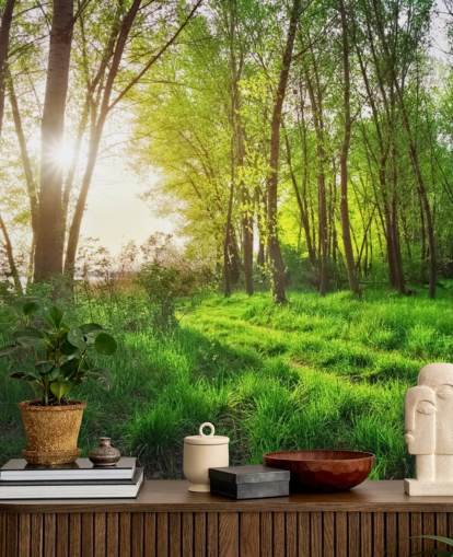 Green Sunny Forest Baggrund