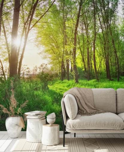 Green Sunny Forest Wallpaper