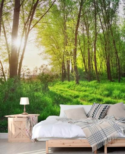 Carta da parati Green Sunny Forest Carta da parati Green Sunny Forest