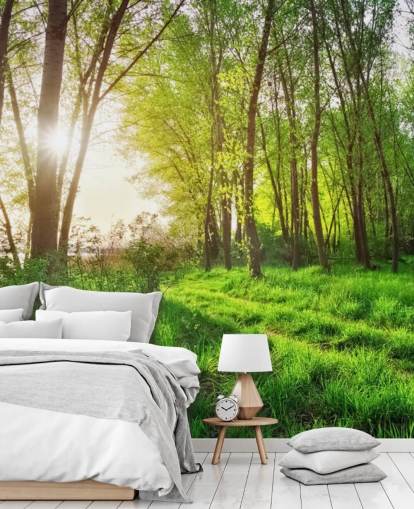 Papel de Parede Green Sunny Forest