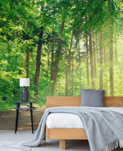 grön anpassad trä tapet kallad Forest Track Sunlight för vardagsrum eller kontor 