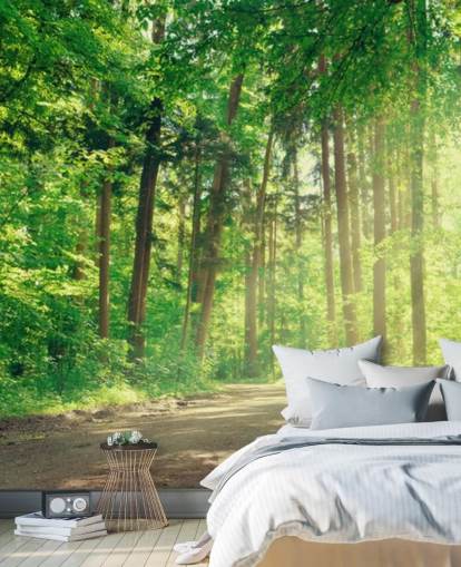 grön anpassad trä tapet kallad Forest Track Sunlight för vardagsrum eller kontor 