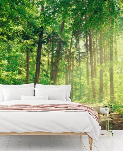 green custom woods wallpaper called Forest Track Sunlight for living rooms or offices 