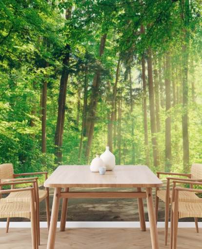 grüne maßgeschneiderte Holztapete namens Forest Track Sunlight für Wohnzimmer oder Büros 