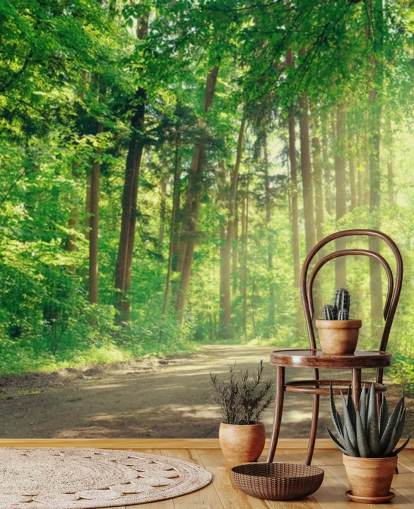 green custom woods wallpaper called Forest Track Sunlight for living rooms or offices 