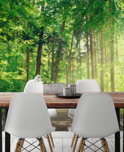 green custom woods wallpaper called Forest Track Sunlight for living rooms or offices 