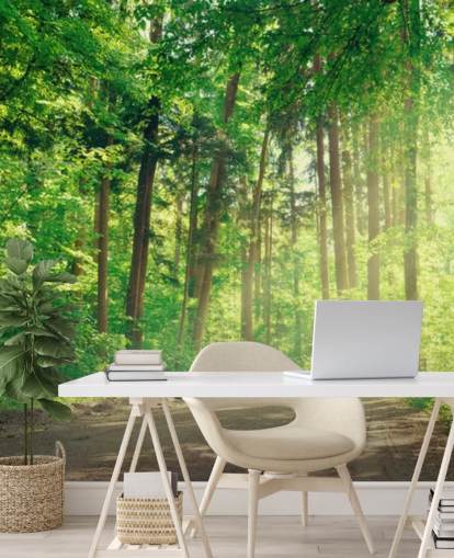 green custom woods wallpaper called Forest Track Sunlight for living rooms or offices 