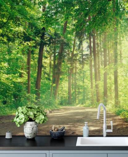 grønt brugerdefineret træ tapet kaldet Forest Track Sunlight til stuer eller kontorer 