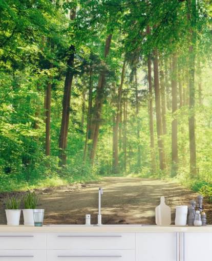 groen op maat gemaakt houtbehang genaamd Forest Track Sunlight voor woonkamers of kantoren 
