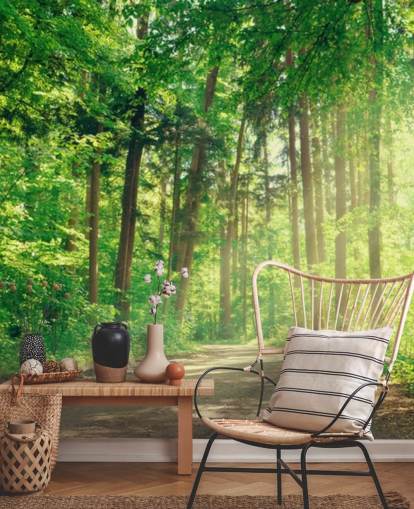 green custom woods wallpaper called Forest Track Sunlight for living rooms or offices 