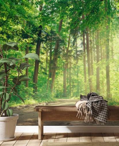 papel de parede de madeira verde personalizado chamado Forest Track Sunlight para salas de estar ou escritórios 