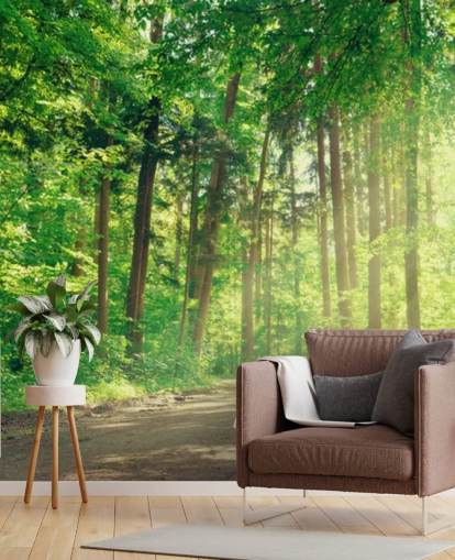 green custom woods wallpaper called Forest Track Sunlight for living rooms or offices 