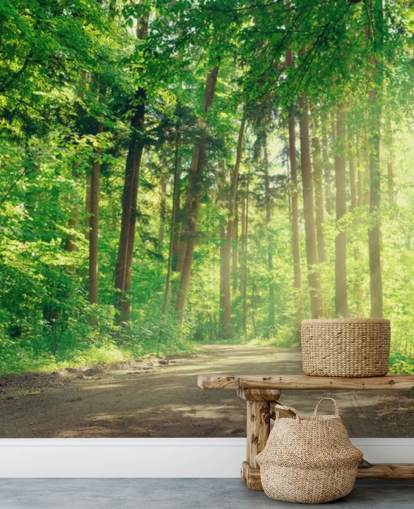green custom woods wallpaper called Forest Track Sunlight for living rooms or offices 