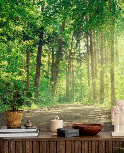 green custom woods wallpaper called Forest Track Sunlight for living rooms or offices 