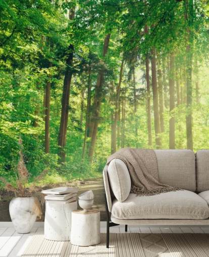 papier peint vert en bois personnalisé appelé Forest Track Sunlight pour les salons ou les bureaux 