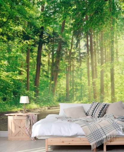 grön anpassad trä tapet kallad Forest Track Sunlight för vardagsrum eller kontor 