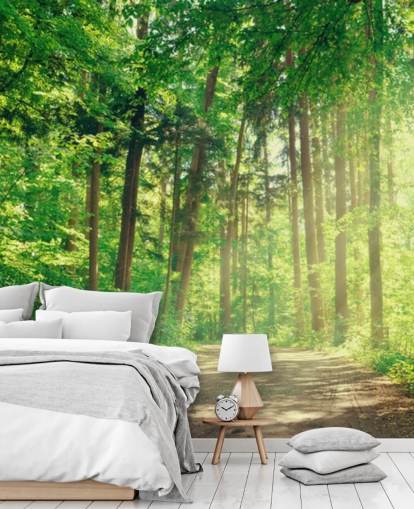 vihreä mukautettu puun taustakuva nimeltä Forest Track Sunlight olohuoneisiin tai toimistoihin 