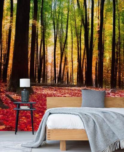Rotes Wald-Tapeten-Wandbild mit dem Titel Farbenfroher Herbstwald für Pflegeheime