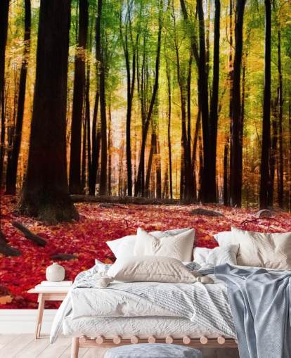 mural de papel pintado de un bosque rojo llamado Colourful Autumn Forest para residencias de ancianos